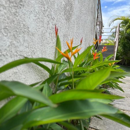 Seasons Break Apartment Pereybere Pereybere Beach Buitenkant foto